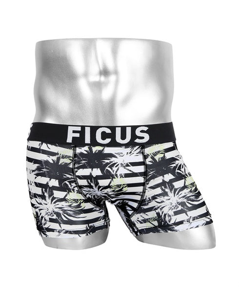 FICUS フィークス variation5 メンズ ボクサーパンツ【メール便】|下着 おしゃれ 人気 クリスマス プレゼント 彼氏