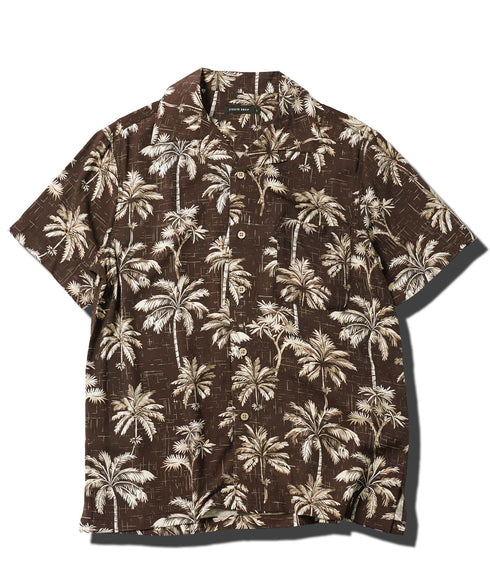 ブラックパーム