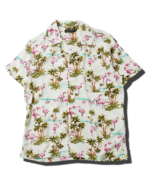 ホワイトフラミンゴ