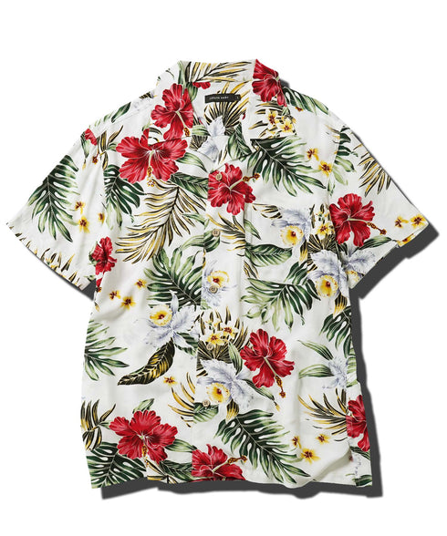 ホワイトハイビスカス