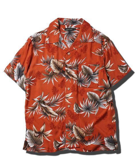 オレンジパーム