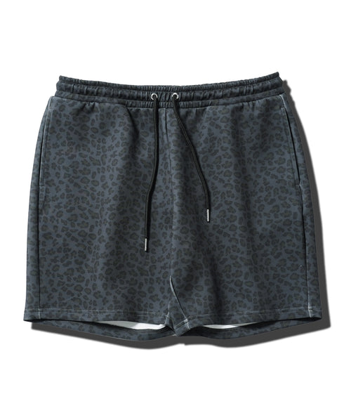 ダークレオパード