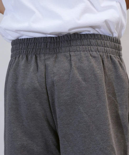 【 海外流通モデル 】 THE NORTH FACE / ザ ノースフェイス Men's Box NSE Short