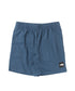 【 海外流通モデル 】 THE NORTH FACE / ザ ノースフェイス Men's Box NSE Short