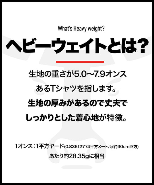 ヘインズ Hanes BEEFY メンズ クルーネック 半袖 Tシャツ