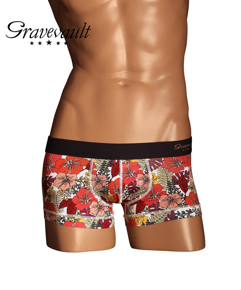 グレイブボールト Gravevault various2 メンズ ローライズ ボクサーパンツ 【メール便】 |下着 おしゃれ 人気 クリスマス プレゼント 彼氏