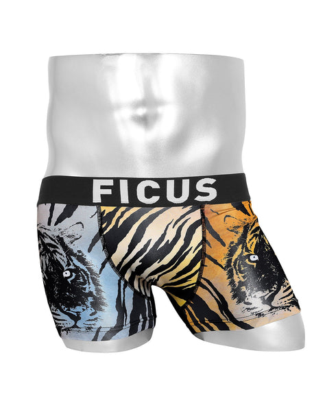 トランジション