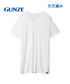 グンゼ GUNZE COOLMAGIC クールネックTシャツ 鹿の子 吸汗速乾 消臭 部屋干し対応 【メール便】 cts