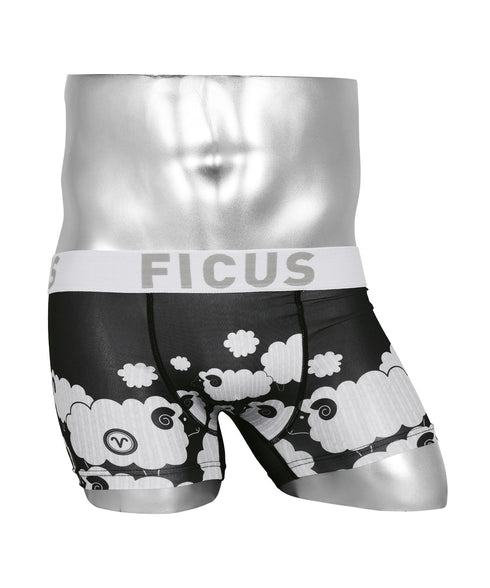 フィークス FICUS The Zodiac Signs メンズ ボクサーパンツ 【メール便】 cts