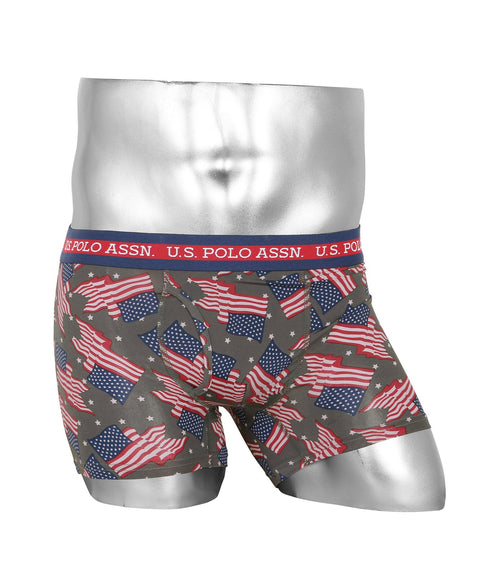 4.星条旗グレー