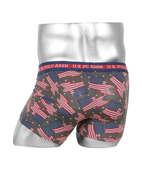 4.星条旗グレー