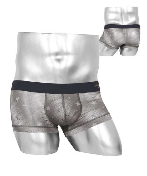 スターシルバー