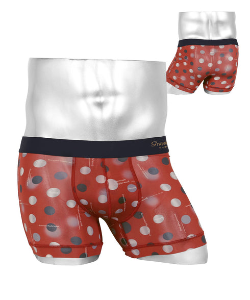 グレイブボールト Gravevault Vintage aloha Playful mood MASK メンズ ショート ボクサーパンツ 【メール便】