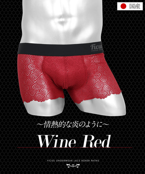 フィークス FICUS レース メンズ ボクサーパンツ 【メール便】|下着 おしゃれ セクシー 人気 クリスマス プレゼント 彼氏 cts