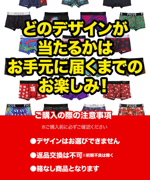 フィークス FICUS 8/2 パンツの日特別 フィークスお試しガチャ 【メール便】 cts