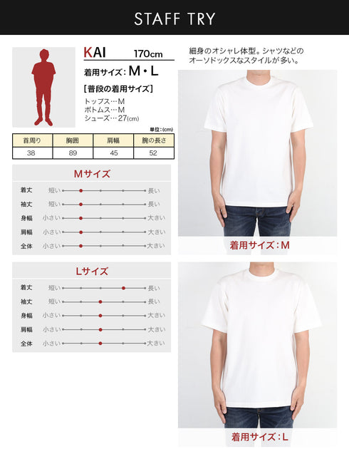 ヘインズ Hanes SHIRO メンズ クルーネック 半袖Tシャツ 【メール便】