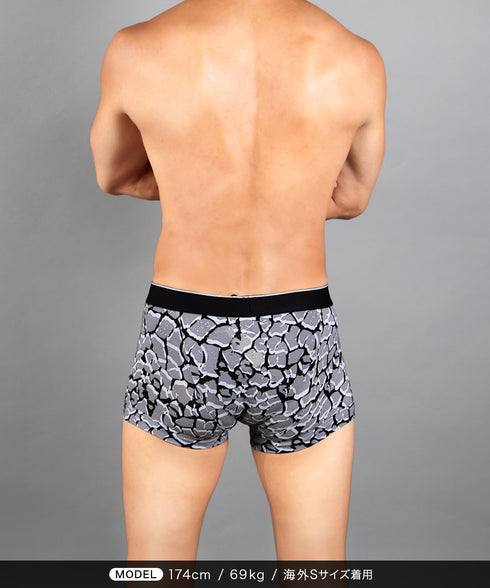 エンポリオ アルマーニ EMPORIO ARMANI ALL OVER CAMOU メンズ ローライズボクサーパンツ 【メール便】 cts