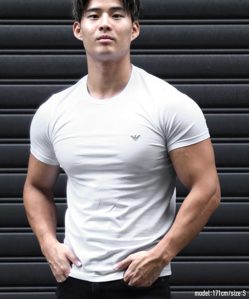 エンポリオ アルマーニ EMPORIO ARMANI 【2枚セット】ENDURANCE メンズ 半袖 Tシャツ cts