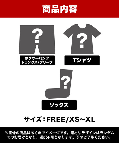 その他 その他 CRAZY FERRET メンズ ガチャ福袋 【メール便】