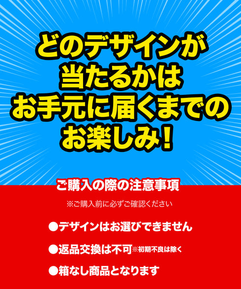 その他 その他 CRAZY FERRET メンズ ガチャ福袋 【メール便】