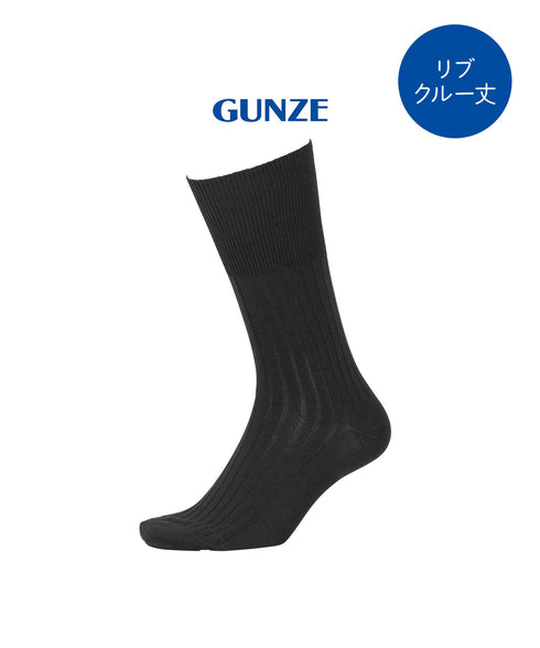 グンゼ GUNZE アセドロン メンズ ソックス 【メール便】
