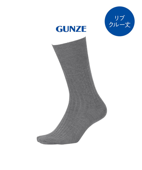 グンゼ GUNZE アセドロン メンズ ソックス 【メール便】