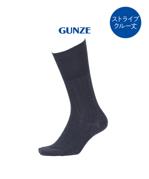 グンゼ GUNZE アセドロン メンズ ソックス 【メール便】
