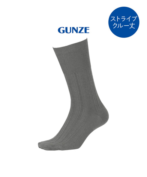 グンゼ GUNZE アセドロン メンズ ソックス 【メール便】