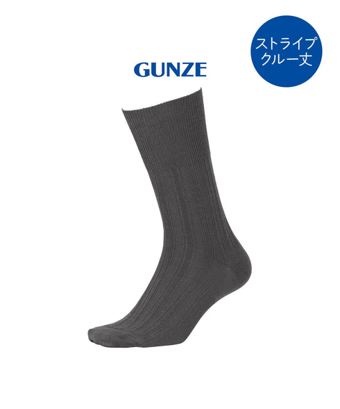 グンゼ GUNZE アセドロン メンズ ソックス 【メール便】