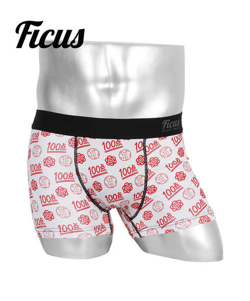 フィークス FICUS パーフェクト メンズボクサーパンツ 【メール便】