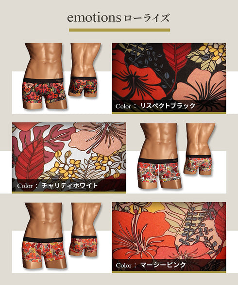 グレイブボールト Gravevault emotions メンズ ローライズ ボクサーパンツ 【メール便】