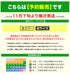 (11月下旬発送予定)フィークス FICUS リラックマ コラボ メンズボクサーパンツ 【メール便】【先行予約1287】