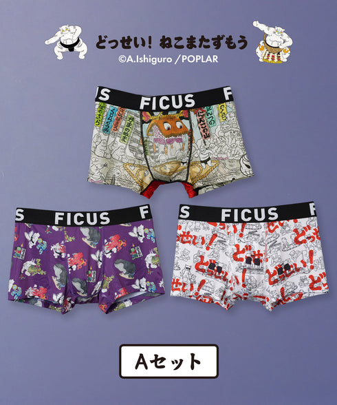 Aセット
