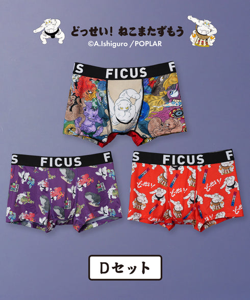 Dセット