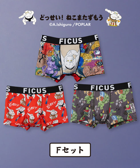Fセット