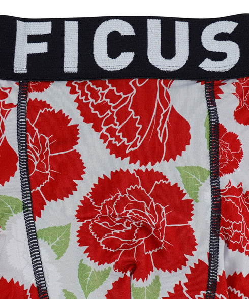 フィークス FICUS SeasonBlooms メンズ ボクサーパンツ 【メール便】