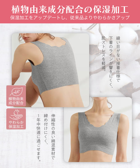 グンゼ GUNZE KIREILABO キレイラボ ハーフトップ ブラ&ショーツ 上下セット