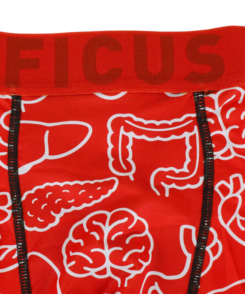 フィークス FICUS Z・O・U・K・I メンズ ボクサーパンツ 【メール便】