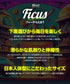 フィークス FICUS NIGHT ANGLER メンズ ボクサーパンツ 【メール便】