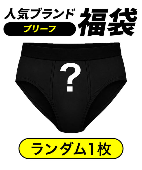 その他 その他 人気ブランド福袋 メンズ ブリーフ 【メール便】