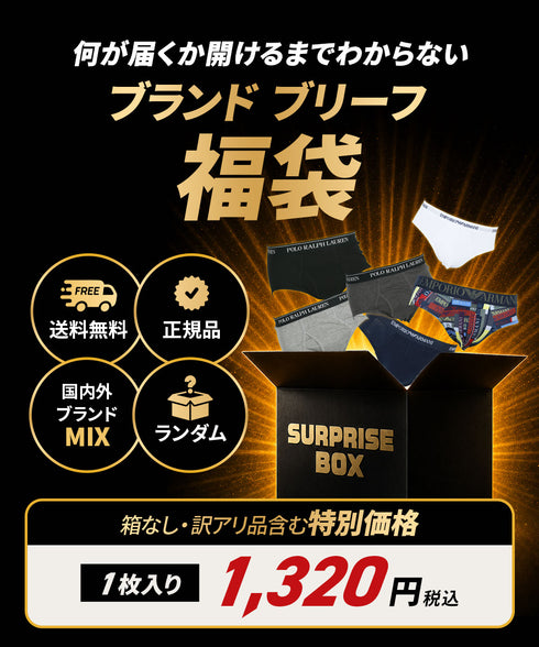 その他 その他 人気ブランド福袋 メンズ ブリーフ 【メール便】