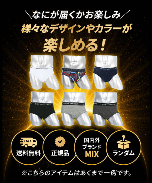 その他 その他 人気ブランド福袋 メンズ ブリーフ 【メール便】