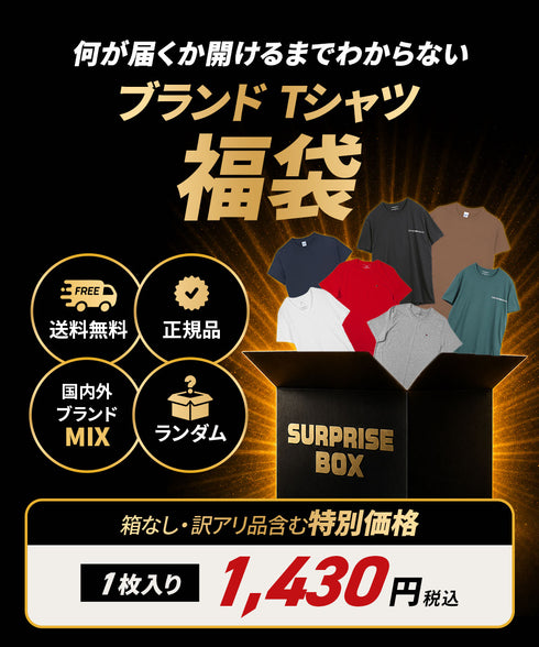 その他 その他 人気ブランド福袋 メンズ Tシャツ 【メール便】