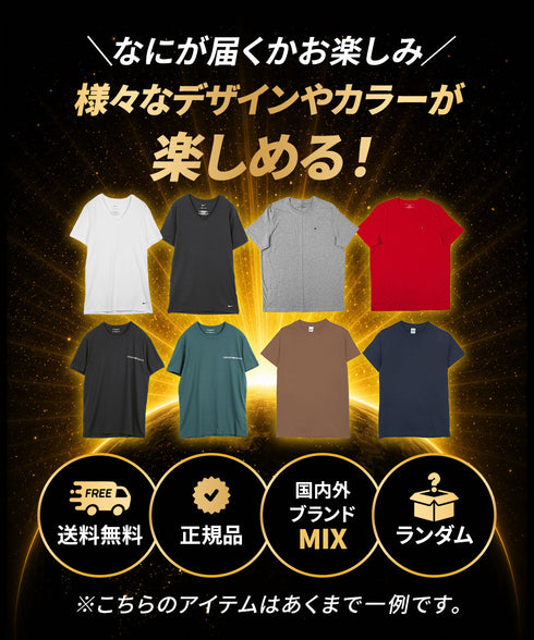 その他 その他 人気ブランド福袋 メンズ Tシャツ 【メール便】