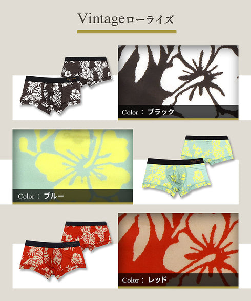 グレイブボールト Gravevault Vintage メンズ ローライズ ボクサーパンツ 【メール便】