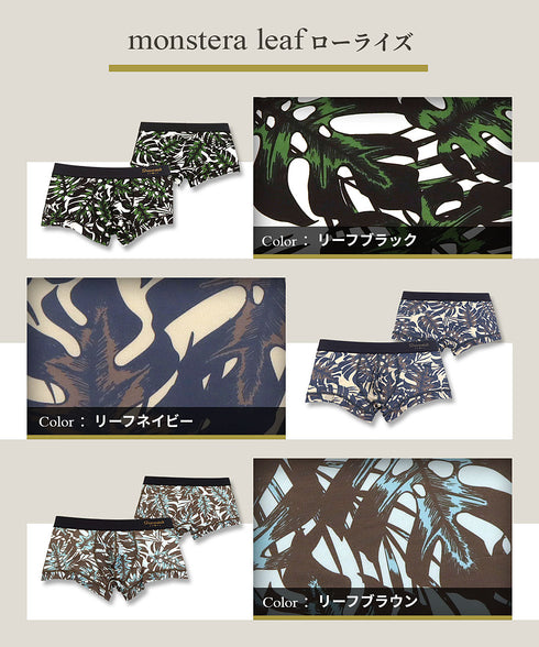 グレイブボールト Gravevault monstera leaf メンズ ローライズ ボクサーパンツ 【メール便】