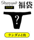グレイブボールト Gravevault グレイブアウトレット品福袋 ビキニ Tバック パッケージなし 【メール便】