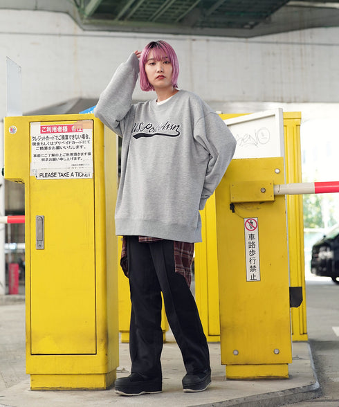 H161 / 着用サイズ: L 杢グレーB