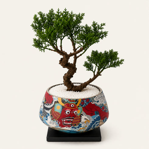 Bonsai #004