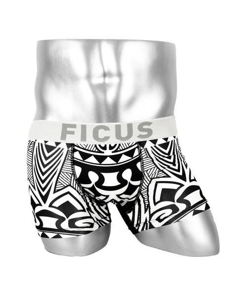 FICUS フィークス variation3 メンズ ボクサーパンツ ギフト プレゼント ラッピング無料 サービス cts